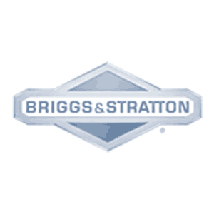 brand-briggs-stratton