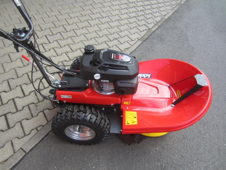 httpsimg.kleinanzeigen.deapiv1prod-adsimagesb4b45a9ad1-2dc8-421f-b90a-244ba5cdd6f3rule_59