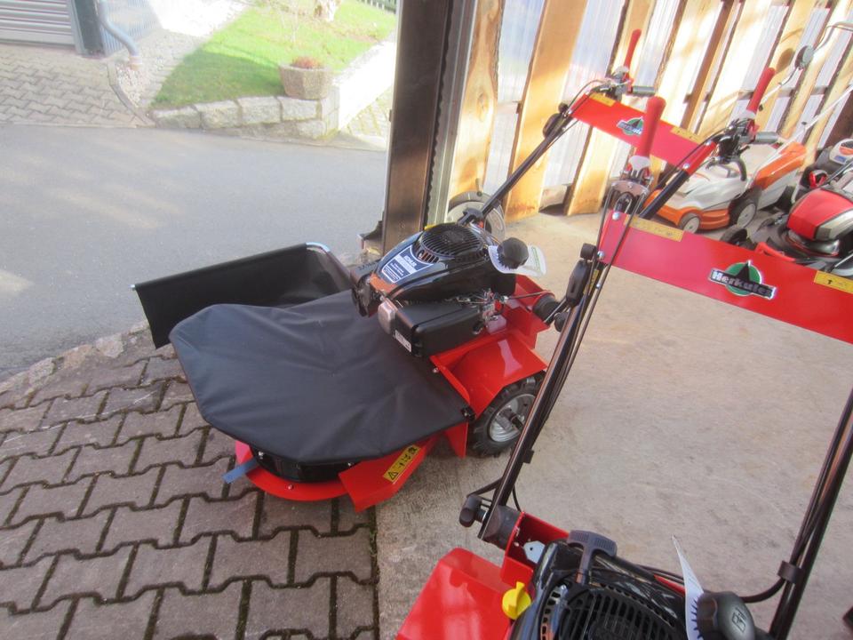 httpsimg.kleinanzeigen.deapiv1prod-adsimageseeeed4292e-b9d3-49ff-b917-d7a5a2dcf9ffrule_59